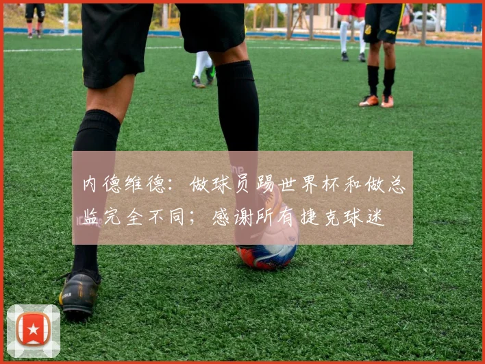 内德维德：做球员踢世界杯和做总监完全不同；感谢所有捷克球迷