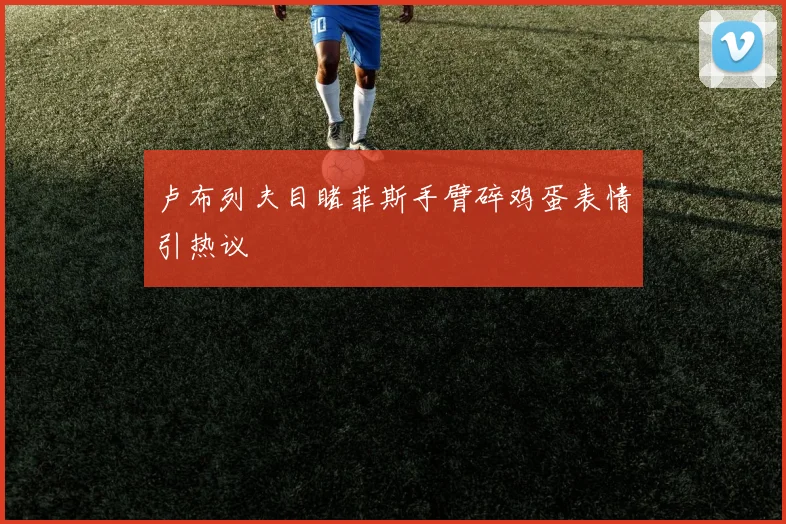 卢布列夫目睹菲斯手臂碎鸡蛋表情引热议