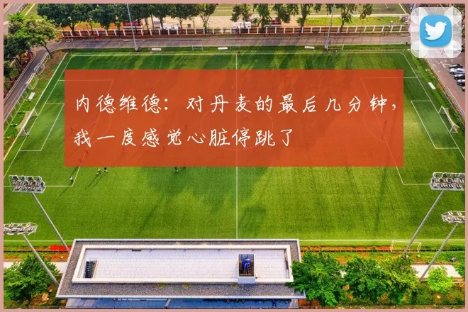 内德维德：对丹麦的最后几分钟，我一度感觉心脏停跳了