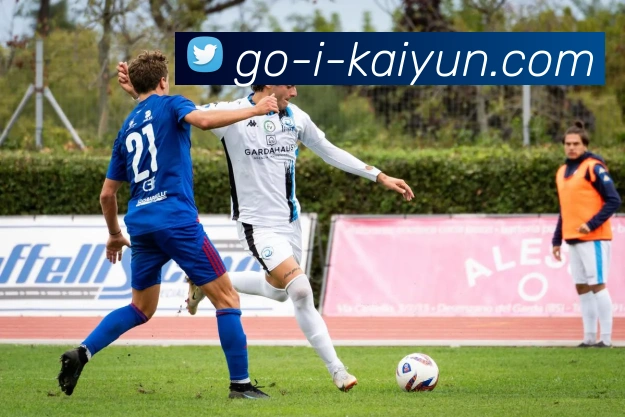 开云平台生态图